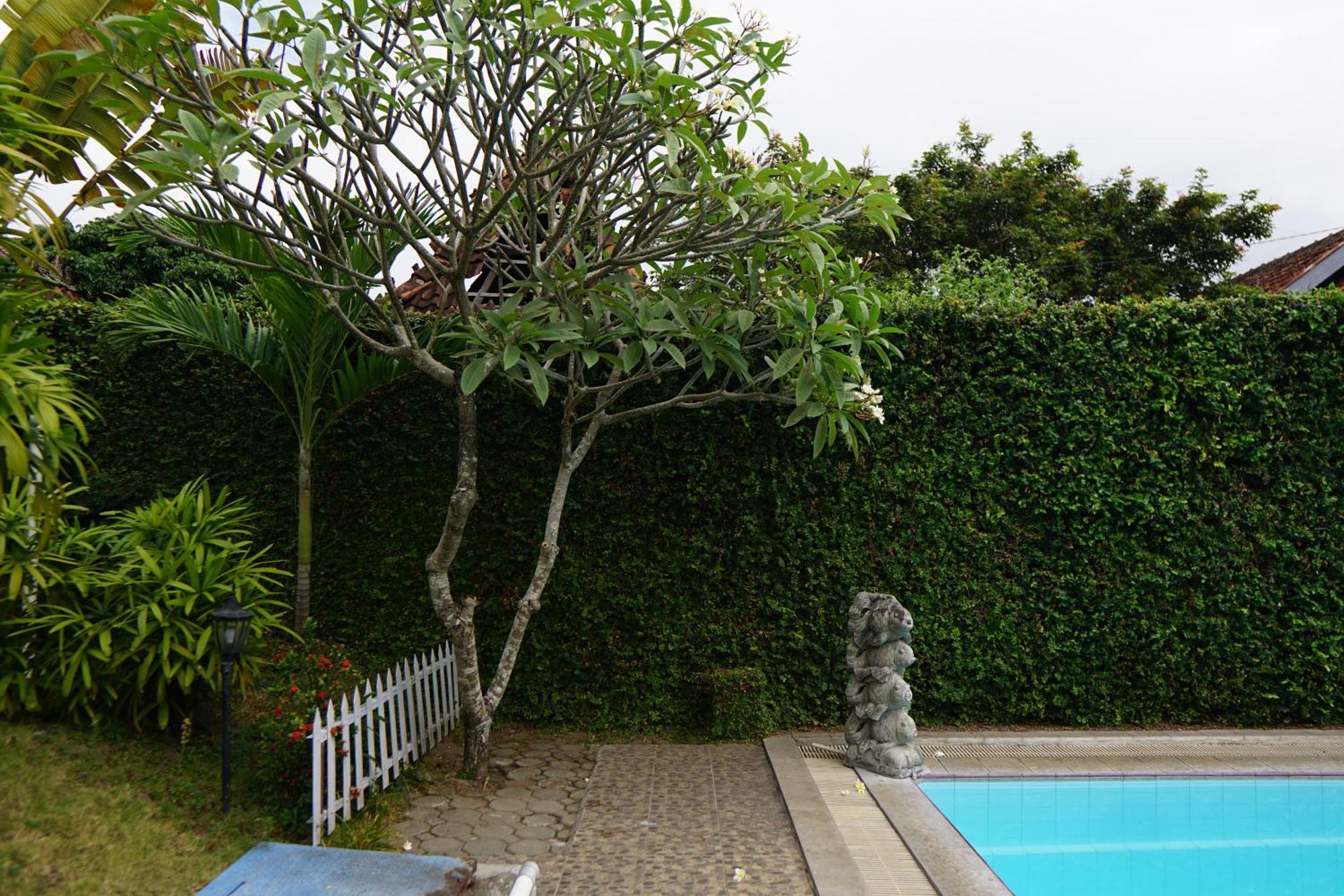 Hotel Tulips Yogyakarta Exterior photo